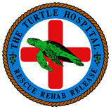 The Turtle Hospital